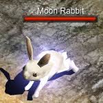 Rabbits